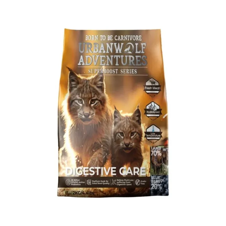SUPERBOOST DIGESTIVE CARE